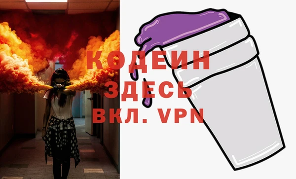 хмурый Аркадак