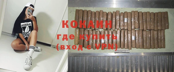 хмурый Аркадак