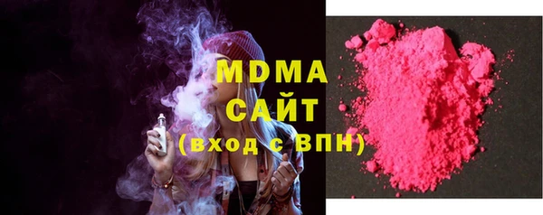 хмурый Аркадак