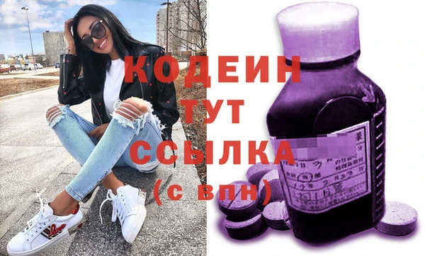 хмурый Аркадак