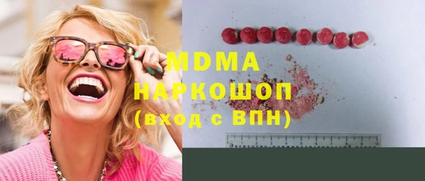 хмурый Аркадак
