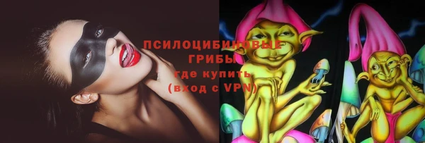 хмурый Аркадак