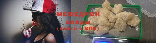 хмурый Аркадак