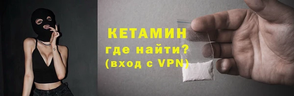 хмурый Аркадак