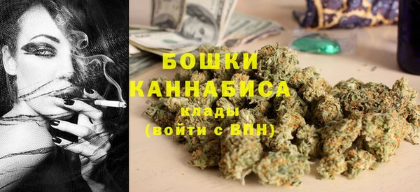 хмурый Аркадак