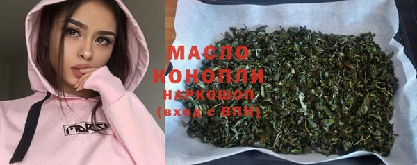 хмурый Аркадак