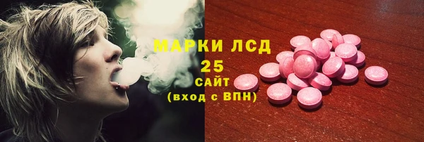 хмурый Аркадак