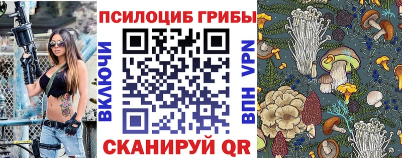 наркотики  Калязин  Галлюциногенные грибы мухоморы 